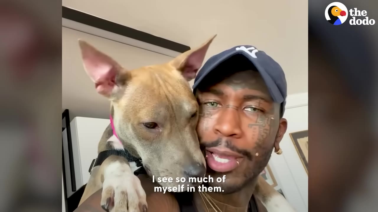 A man wearing a baseball cap rests his head cheek-to-cheek with a pit bull dog resting on his shoulder.