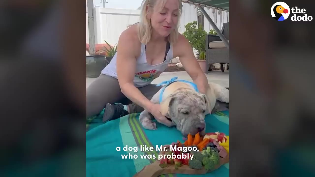 A woman sits on a outdoor blanket smiling as she pets a rescue dog eating a platter of fruits and vegetables.