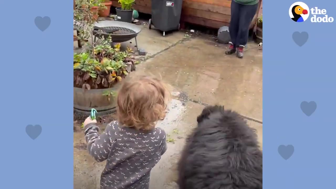 A young child with curly hair stands in a garden patio next to a large, fluffy black dog.