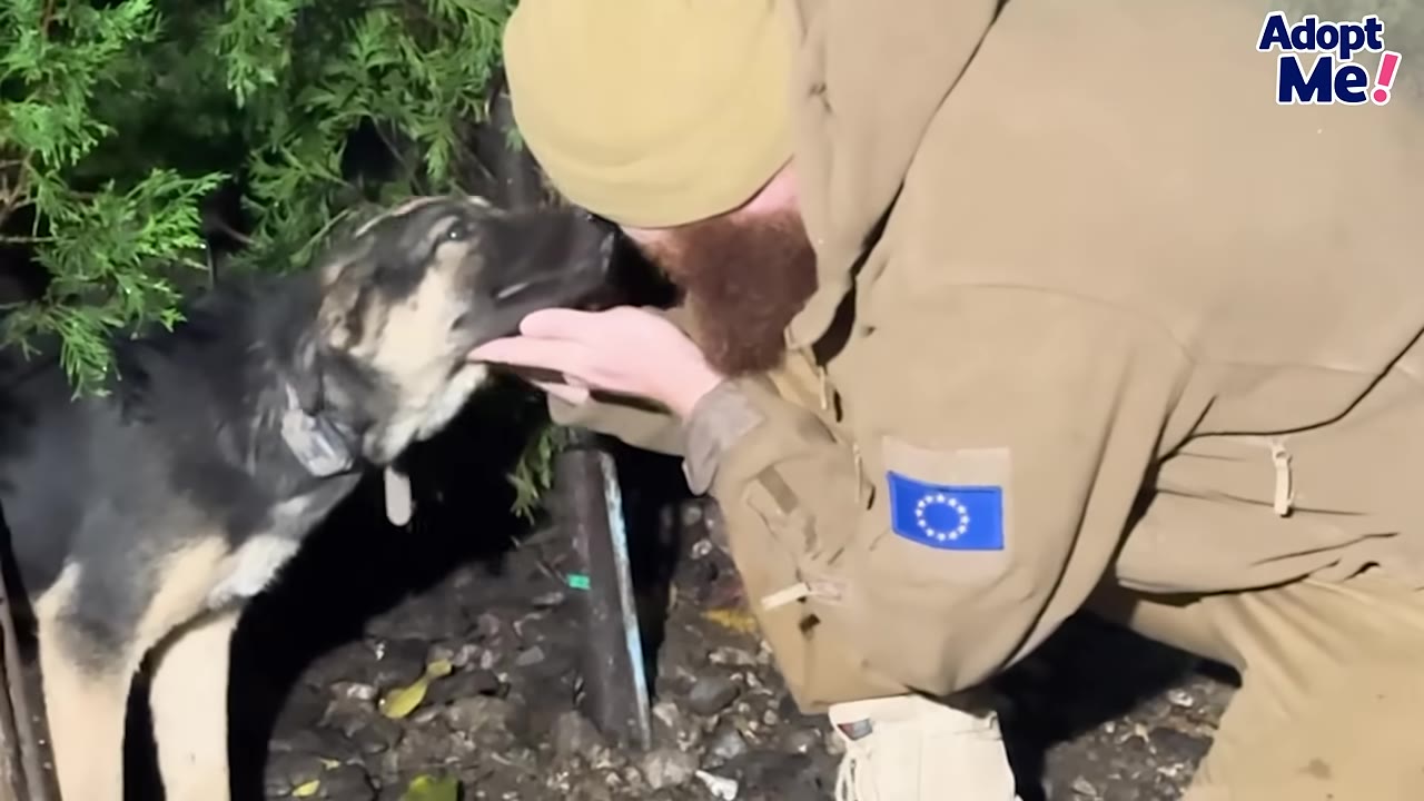 A black and tan dog gently sniffs the outstretched hand of a man wearing a tan beanie and jacket outdoors at night.