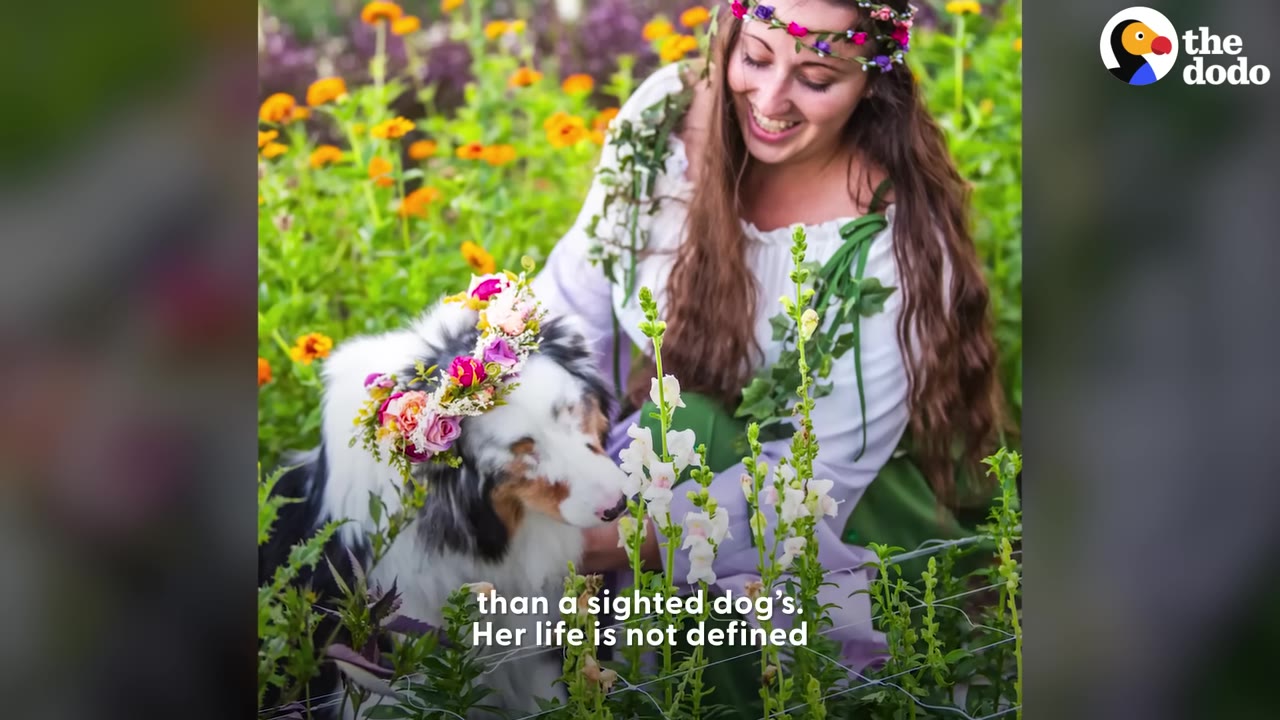 A woman wearing a flower crown sitting in a garden next to an Australian Shepherd dog also wearing a flower crown.