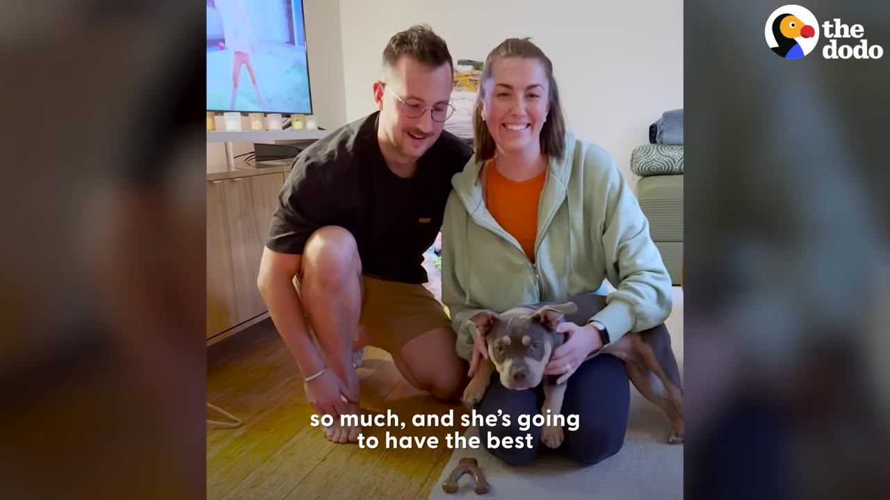A smiling man and woman kneeling on the floor inside a living room with Glo the puppy sitting between them.