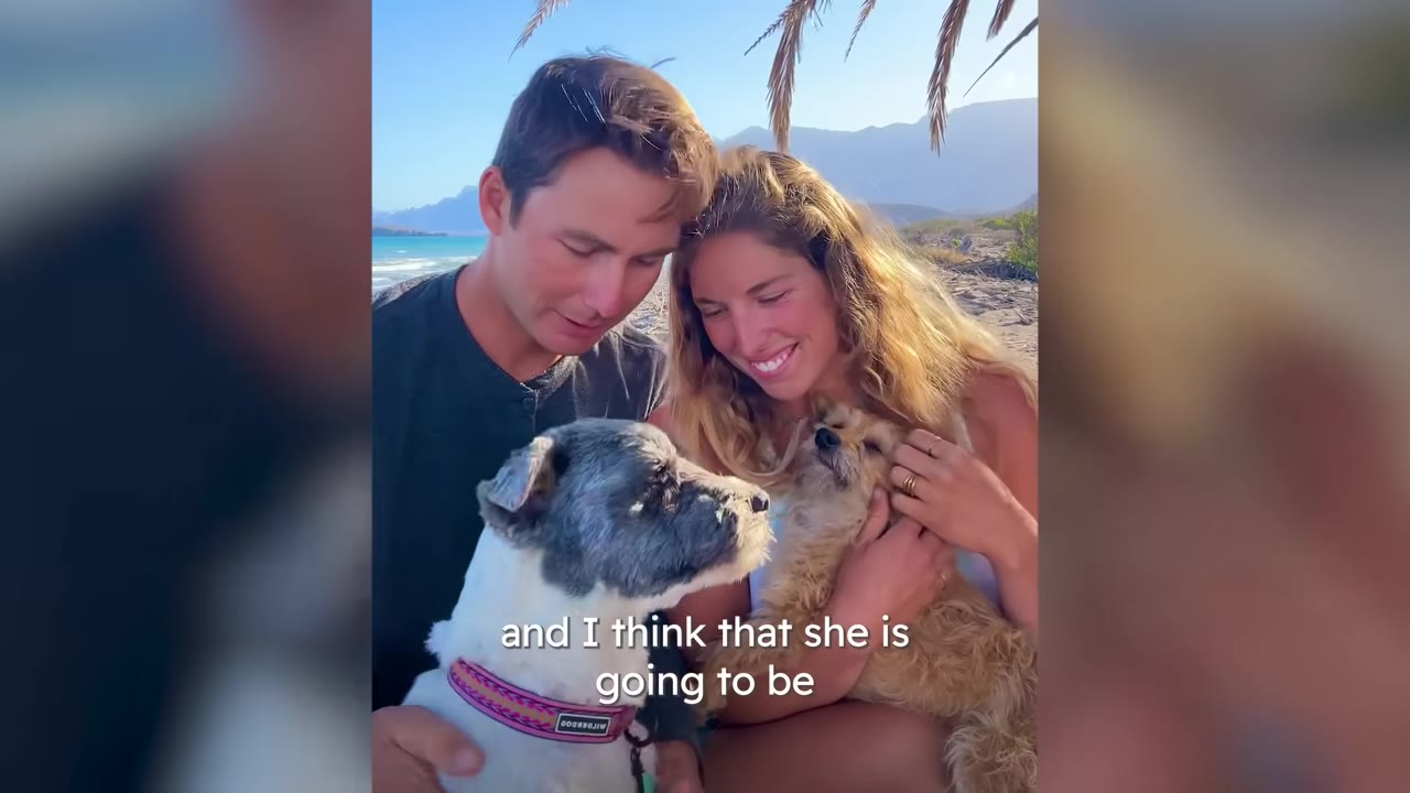 A man and woman sitting outdoors on a beach smiling while cradling two dogs.
