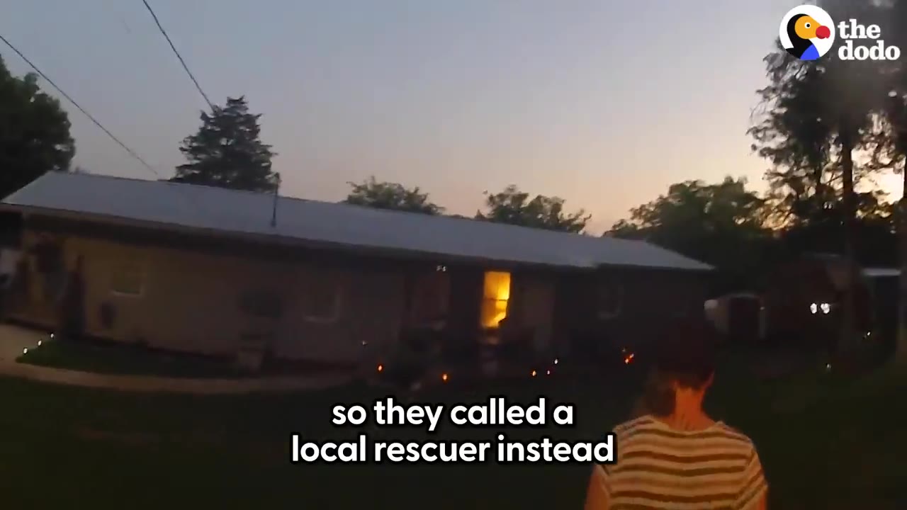 A person in a striped shirt walks towards a house at dusk, with text on screen reading 'so they called a local rescuer instead'.