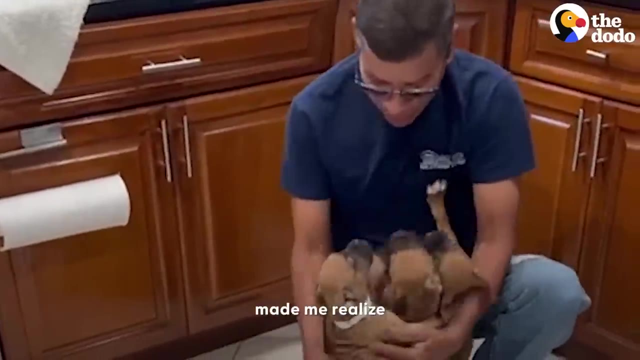 A man sitting on a kitchen floor holding a group of small brown foster puppies in his arms.