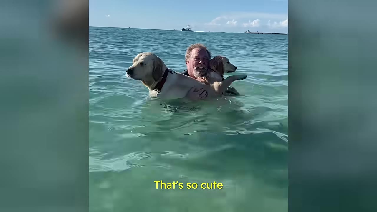 A smiling man stands in the ocean water holding two golden retriever dogs in his arms.