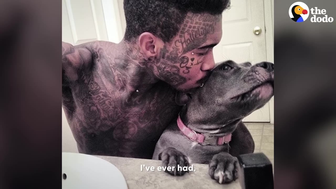 A tattooed man kissing a grey pit bull-type dog with a pink collar on the head.