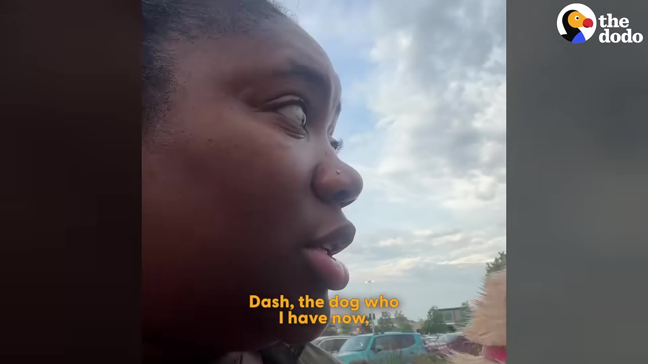 A close-up profile of a woman looking to the side with a cloudy sky in the background, with a subtitle that reads 'Dash, the dog who I have now,'.