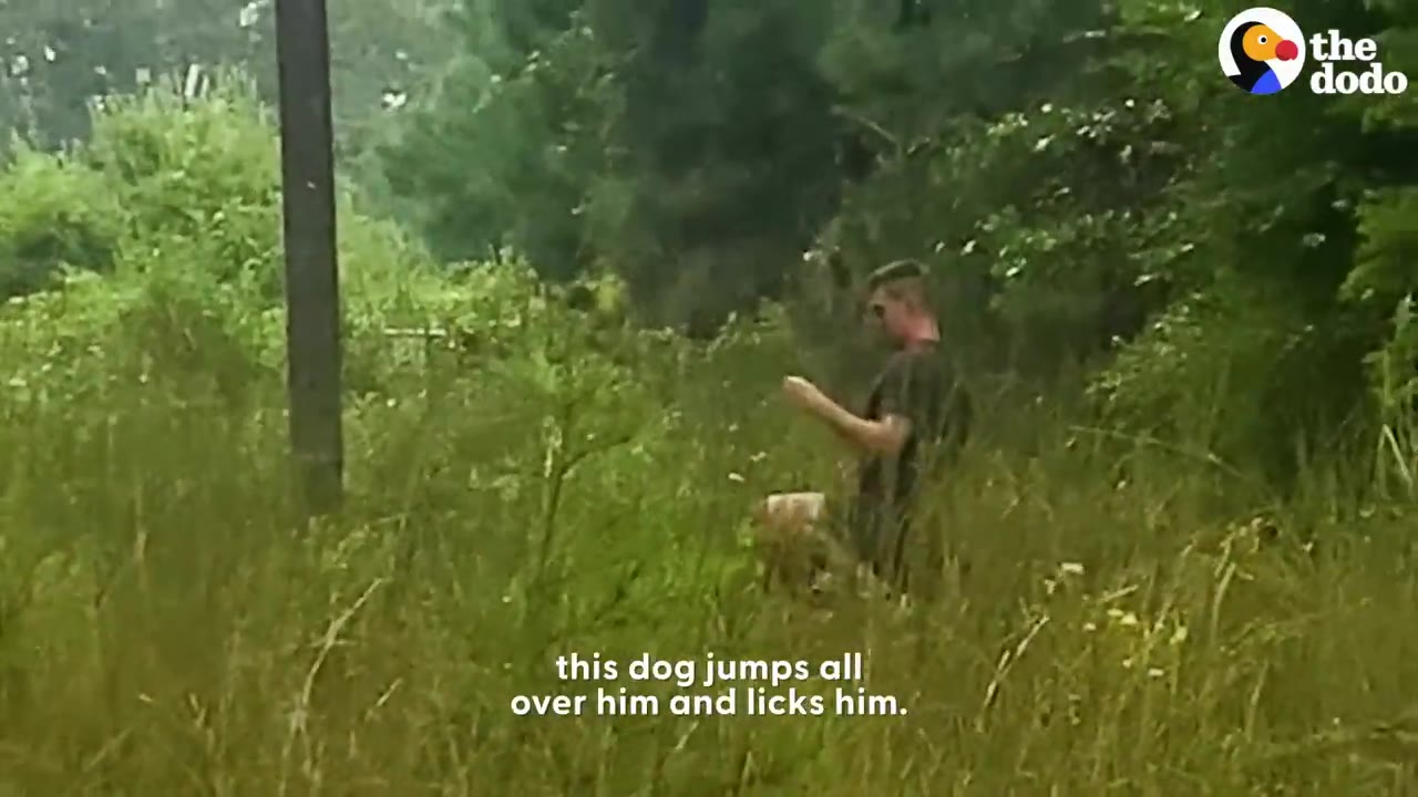 A man standing in tall grass near trees, bending down toward a small dog.