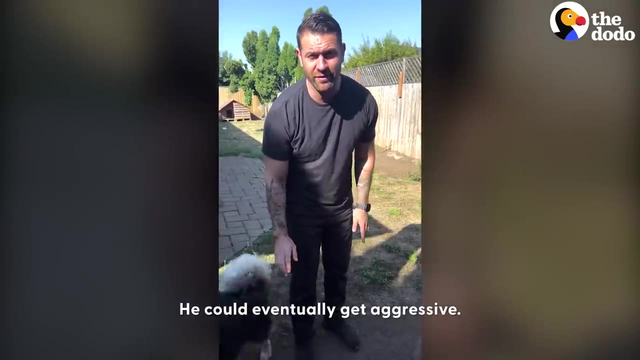 A man in a black shirt standing outside in a yard, speaking with a small fluffy dog near his feet.