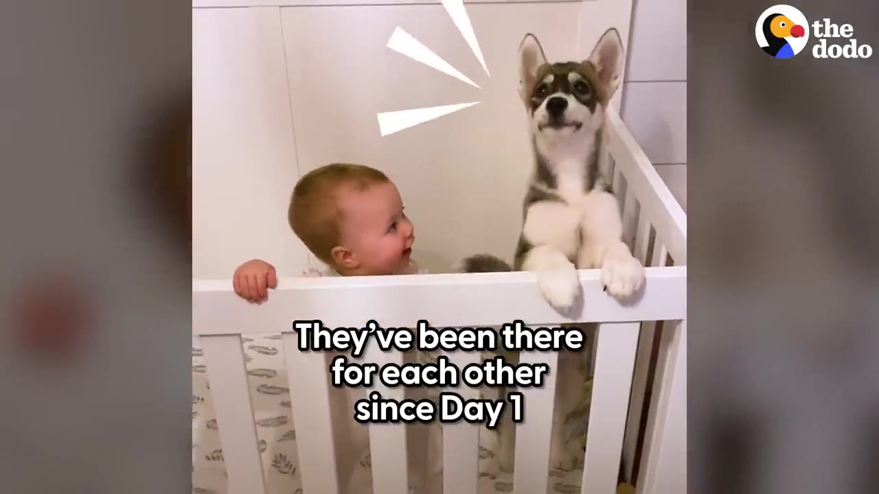A baby stands next to a husky puppy leaning on the rail inside a white crib.