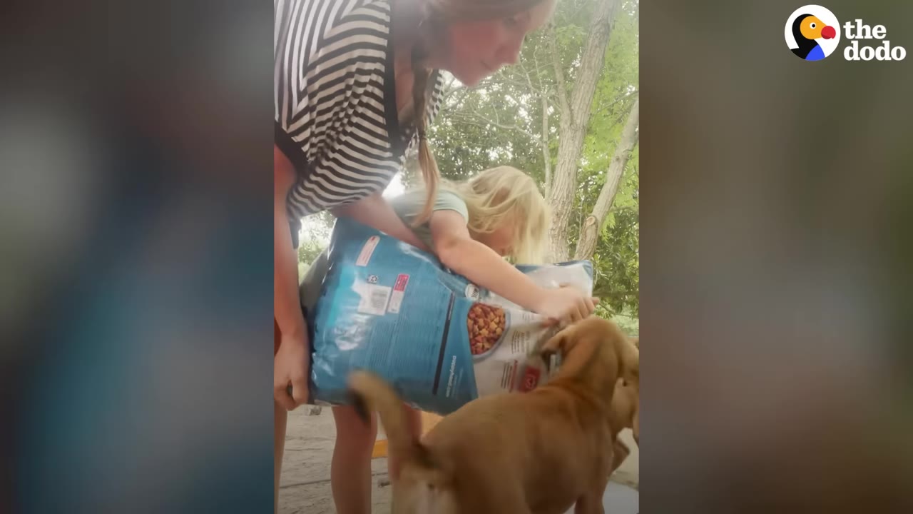 A woman and young child work together to pour dog food from a large bag while a puppy waits nearby.