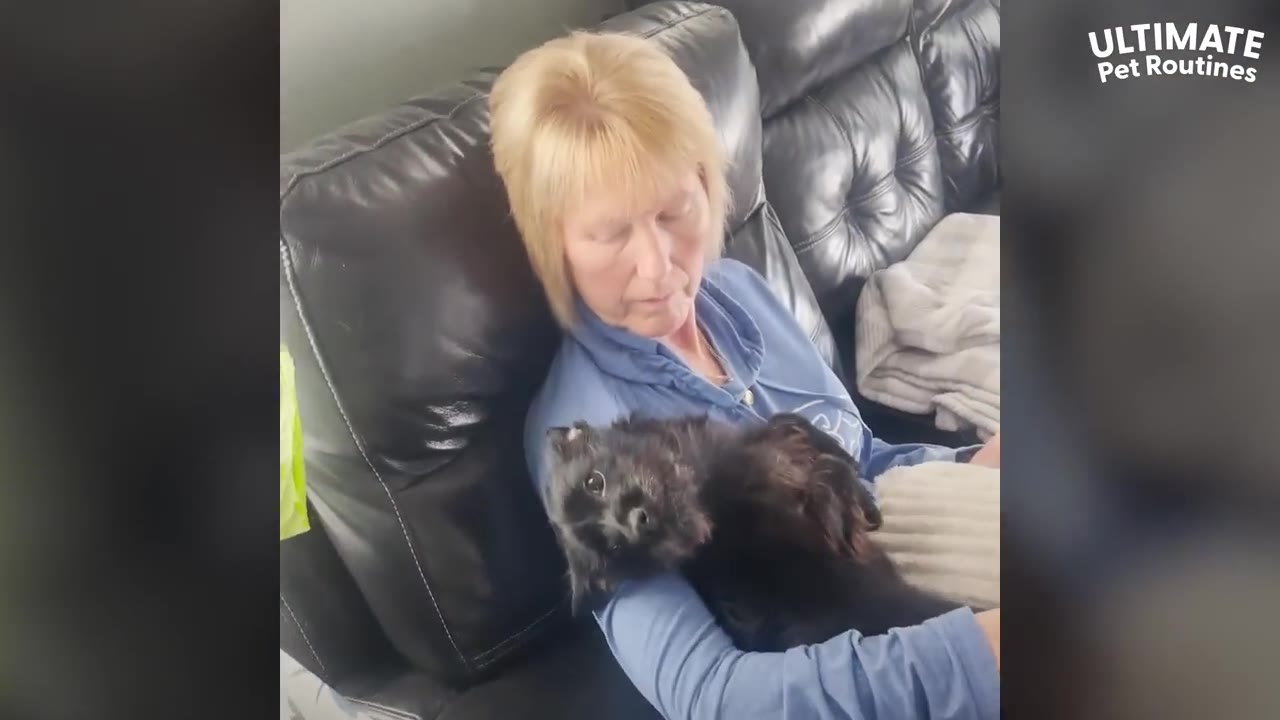 A small black dog lies cradled on its back in a woman's arms as they relax together on a black leather sofa.