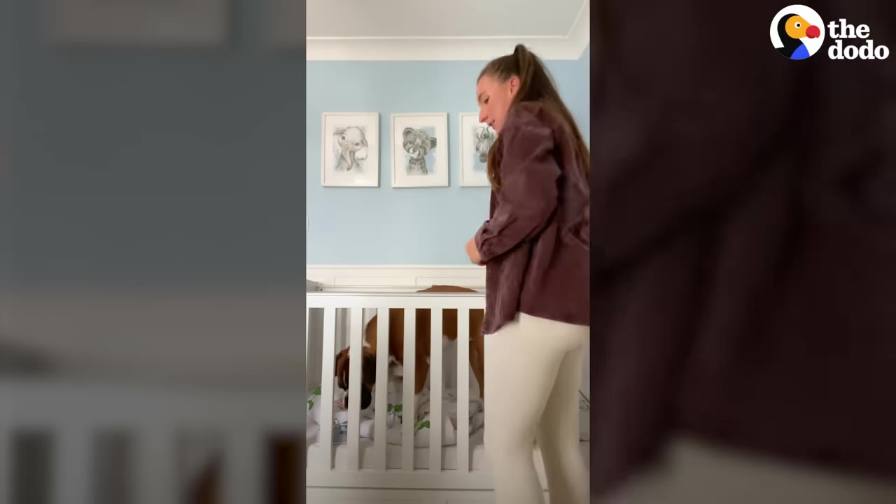 A woman standing in a nursery room beside a white crib containing a boxer dog.