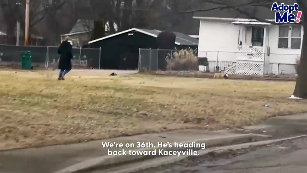 A rescue volunteer walking across a grassy yard near suburban houses.