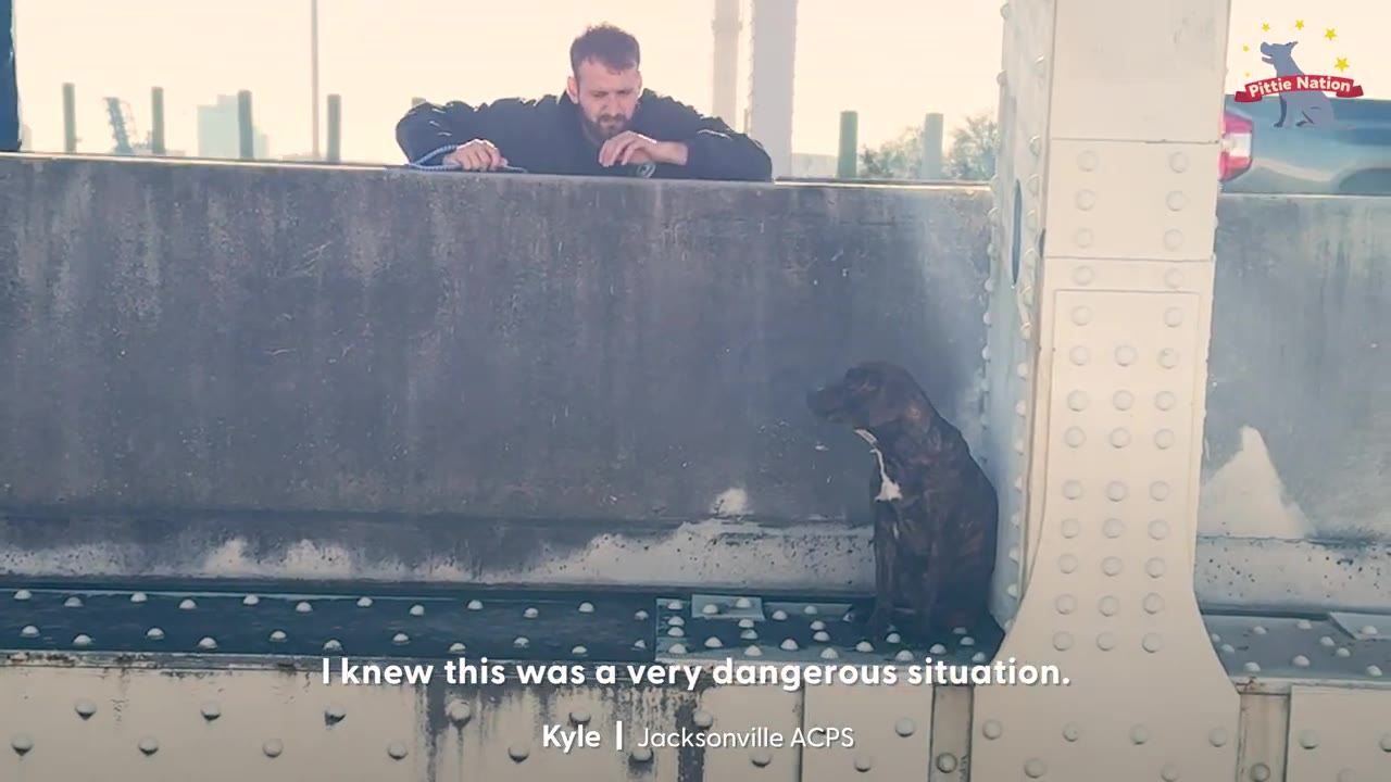 A man leaning over a concrete bridge barrier looking down at a dark brindle dog sitting on a metal beam.
