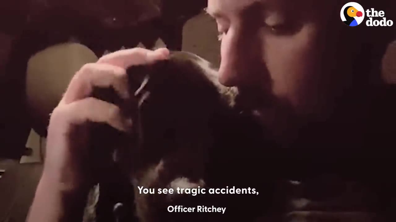 A man gently resting his face against a dog while petting its head.