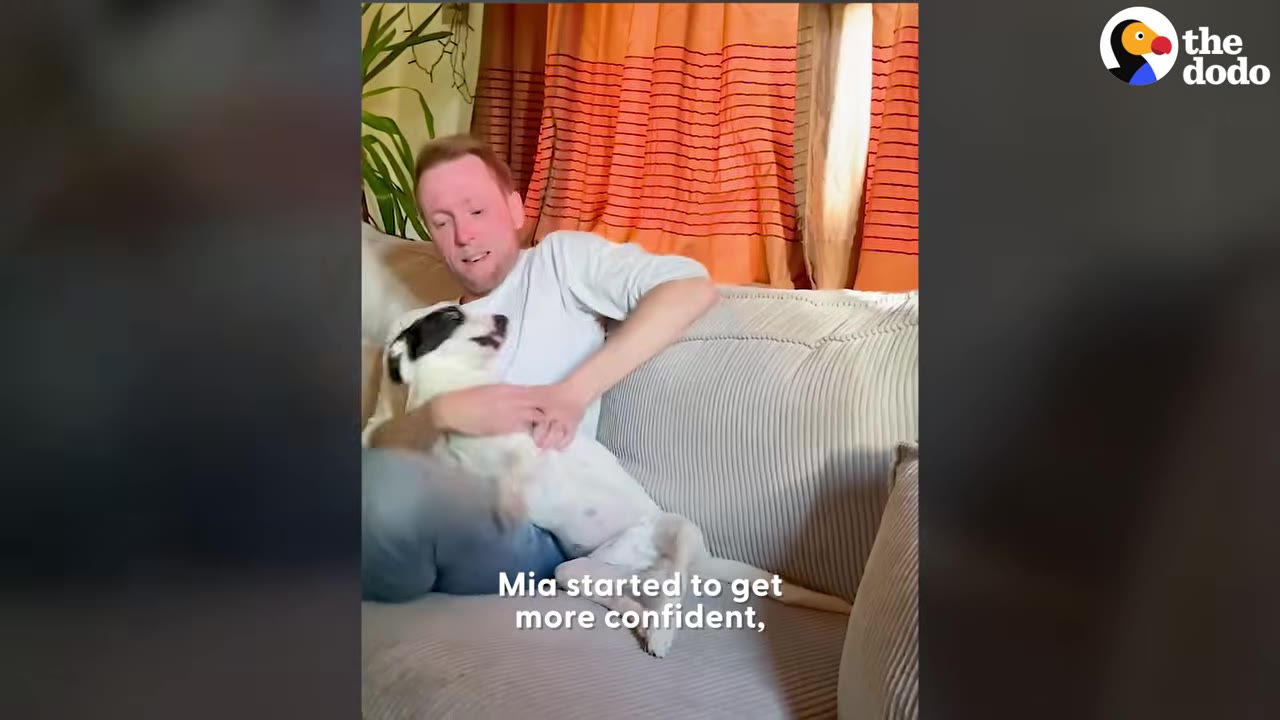 A man cuddling a small white dog with black markings on a sofa indoors.