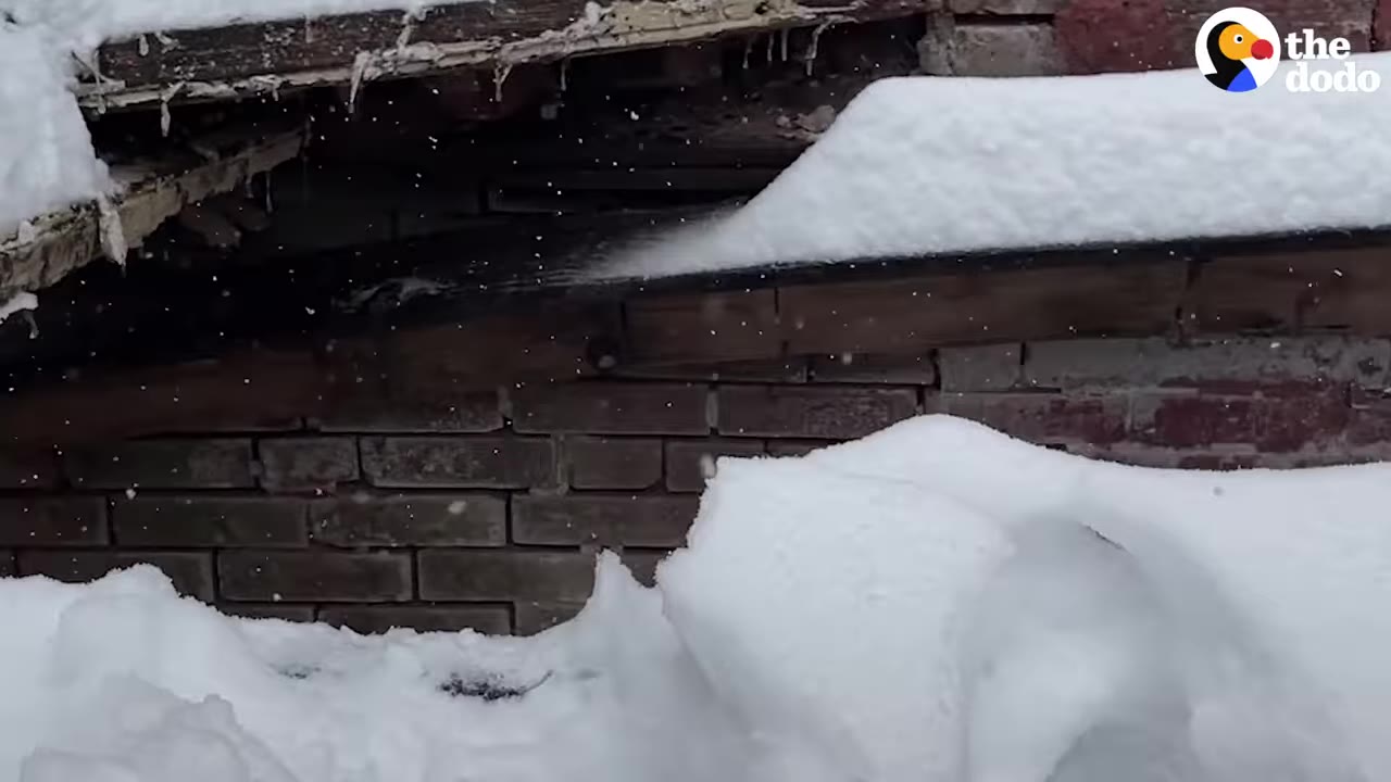 A low brick foundation covered in heavy snow with a narrow opening leading underneath the structure.
