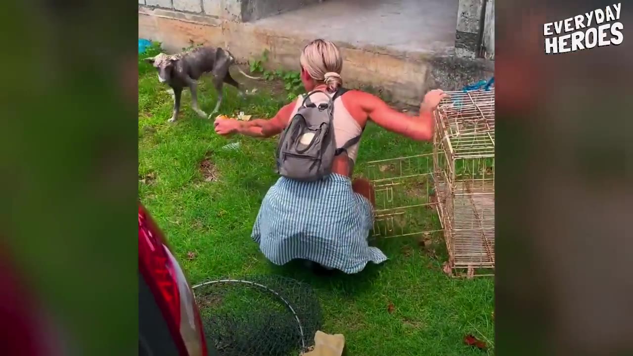A woman crouched on the grass holding out food near a wire cage while a small, thin dog stands nearby.