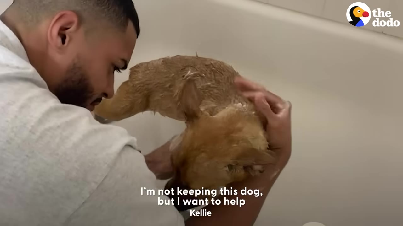 A man leaning over a bathtub to wash a small tan puppy.