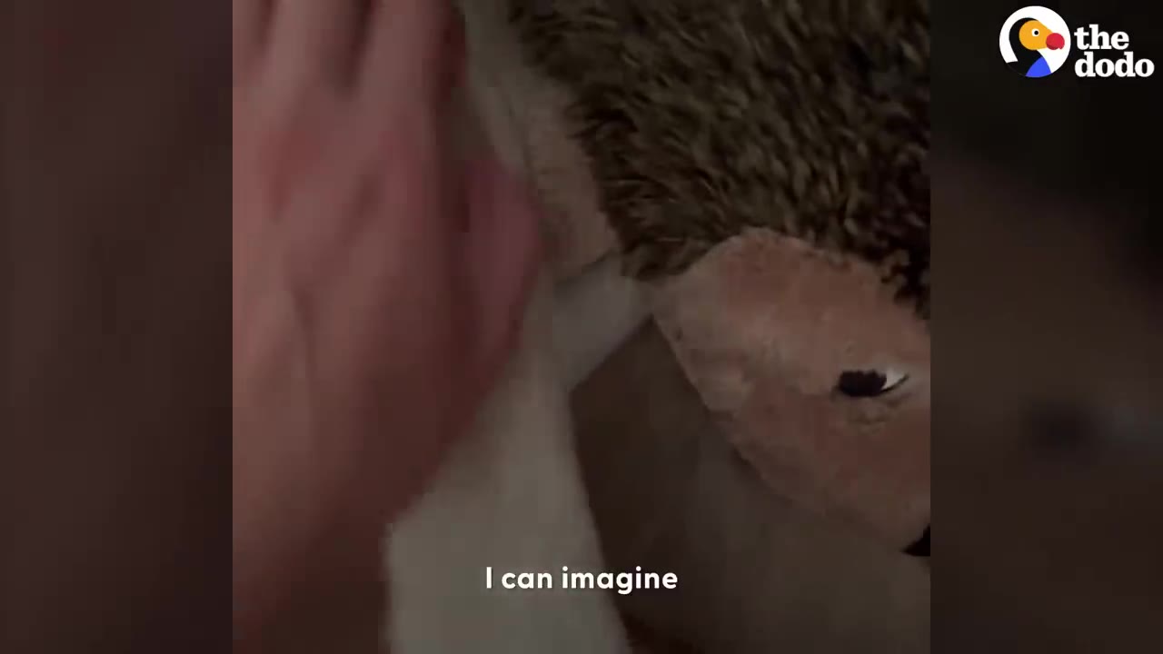 A hand gently petting a soft brown and white stuffed hedgehog toy.