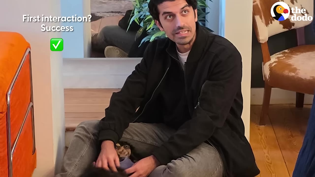 A man sitting on the floor in a living room, smiling as he gently pets a small black and tan dog sitting in his lap.
