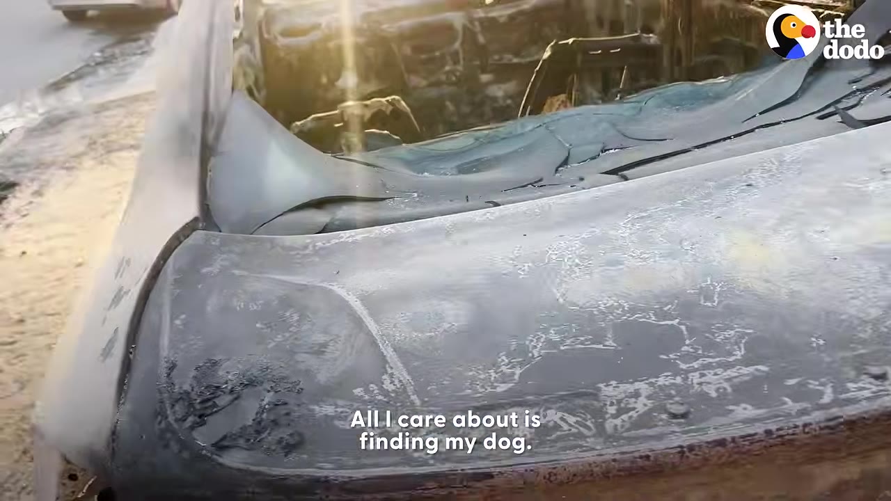 A close-up view of a severely burned vehicle with a shattered rear windshield and charred metal.