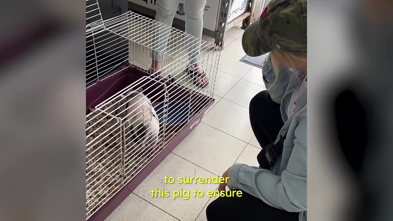 A woman wearing a camo hat and denim jacket crouches beside a cage containing a small spotted pig.