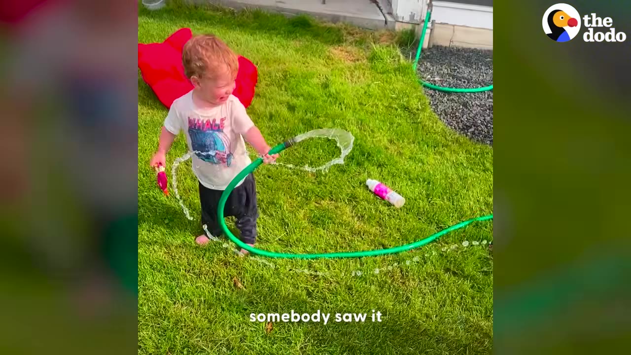 A young child stands on a grassy lawn holding a spraying green garden hose.