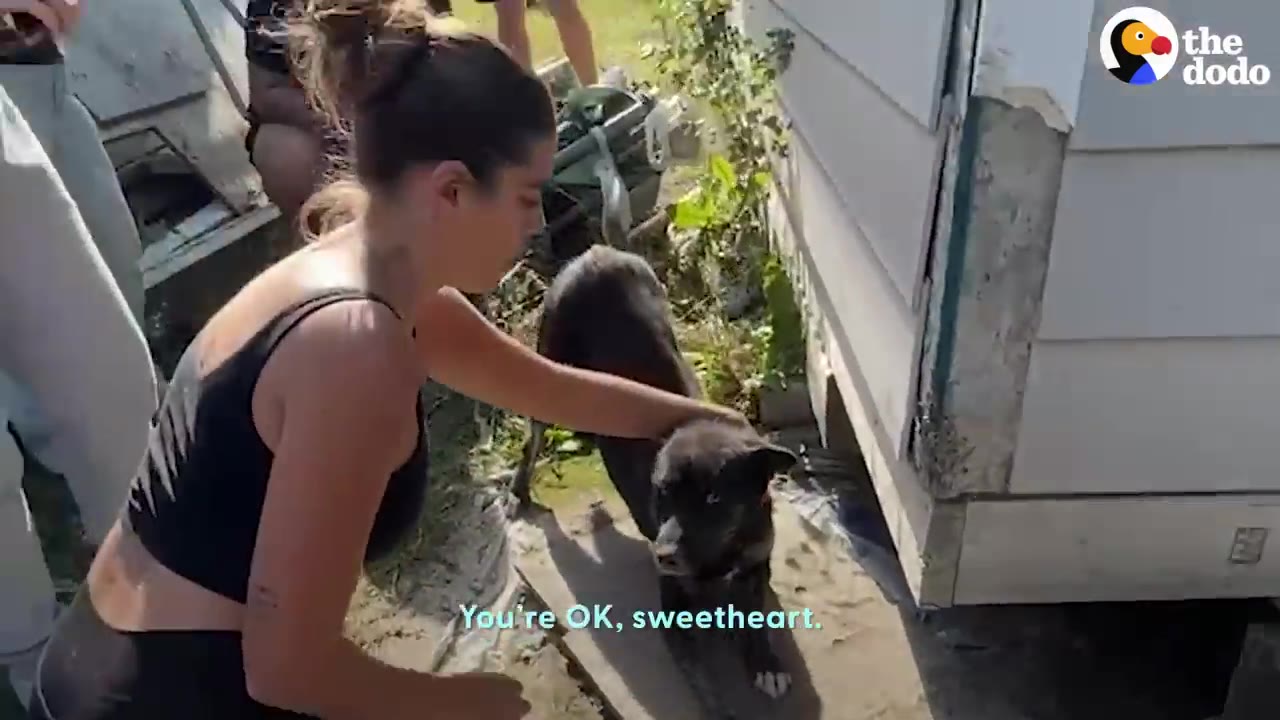 A woman kneels beside a black dog outside next to a white siding wall, gently touching its neck.