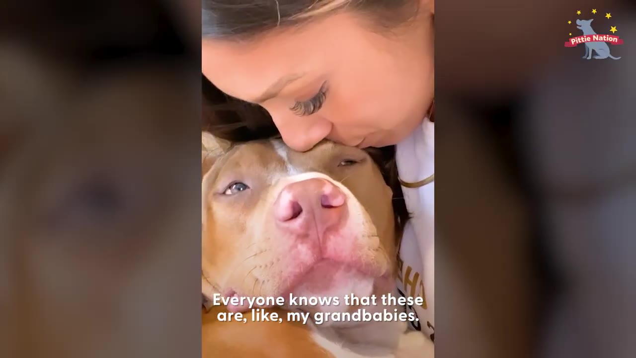 A woman leaning down to kiss the top of a brown and white pit bull's head while holding the dog close.
