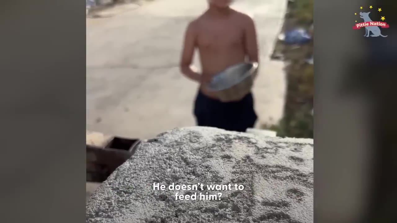 A young boy standing outside behind a stone wall holding a metal bowl.