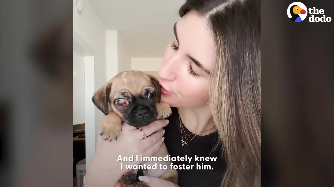 A woman with long brown hair holds a small tan puppy with an injured eye close to her face, kissing the top of its head.