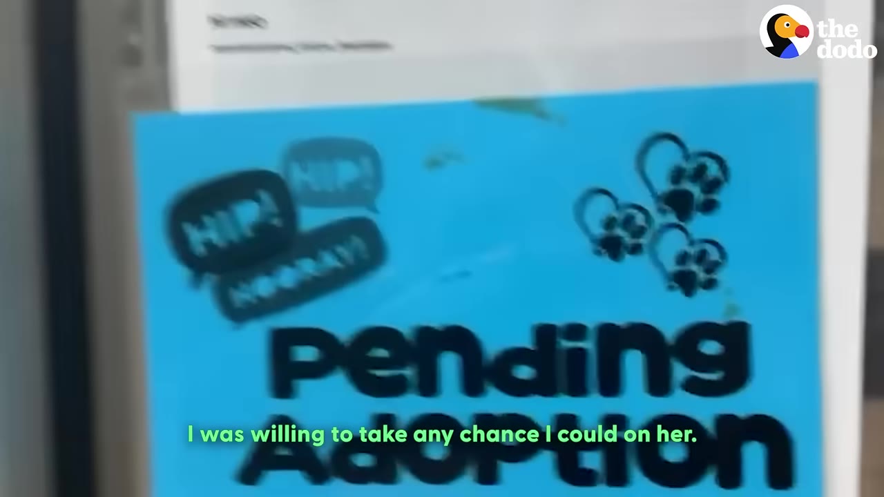 A close-up of a bright blue sign that reads 'pending Adoption' with paw prints and speech bubbles saying 'HIP! HIP! HOORAY!'.