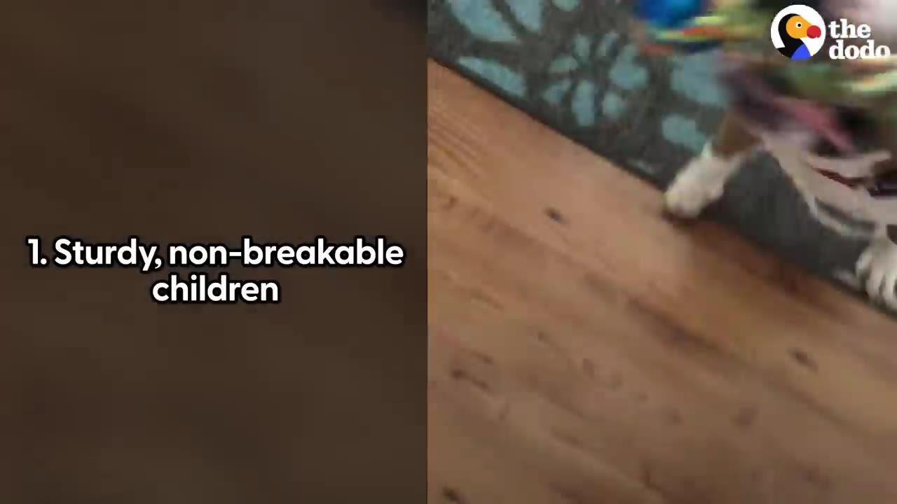 A split screen showing the text '1. Sturdy, non-breakable children' on the left, and a dog's paws on a wooden floor on the right.