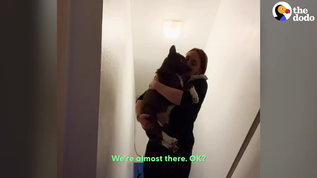 A woman carrying a dark-colored dog in her arms as she walks up a narrow flight of stairs indoors.