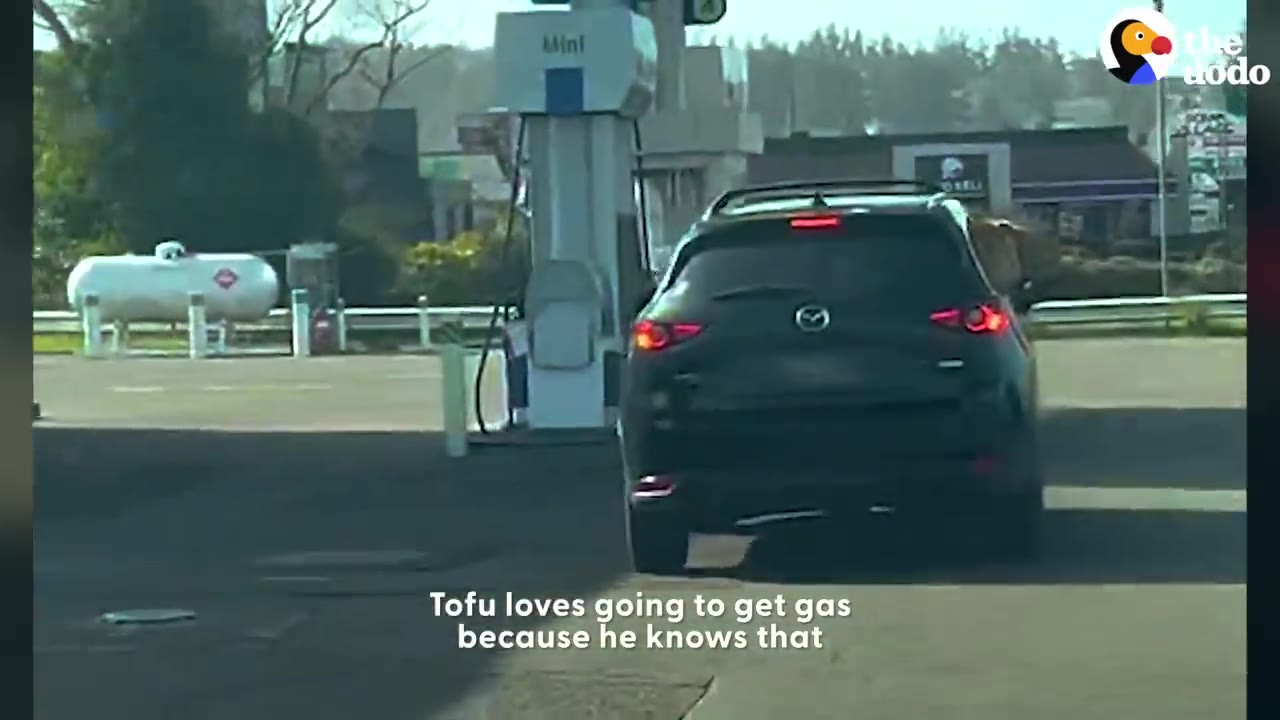 A dark SUV driving up to a fuel pump at a gas station.