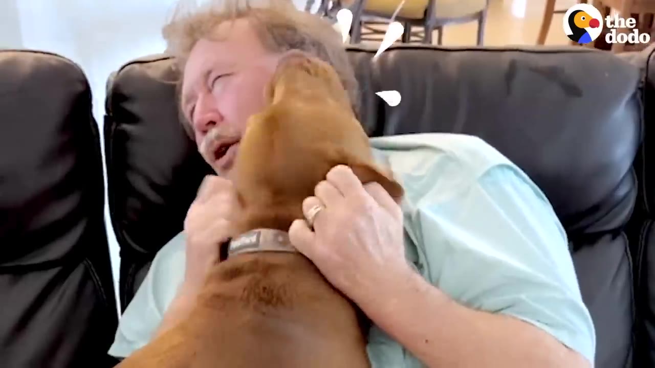 A brown dog cuddles and licks the face of a man sitting on a black leather couch.