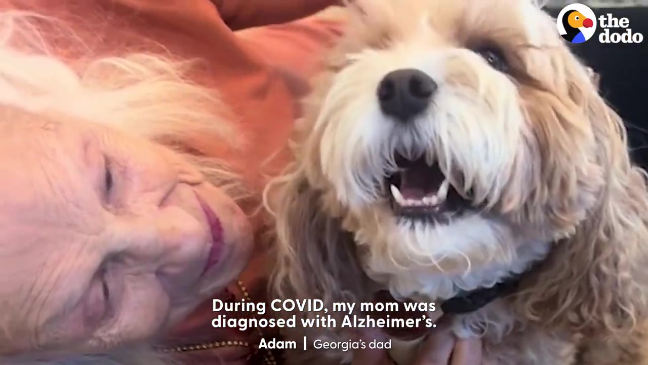 A happy fluffy light-brown dog smiling while leaning against an elderly woman.