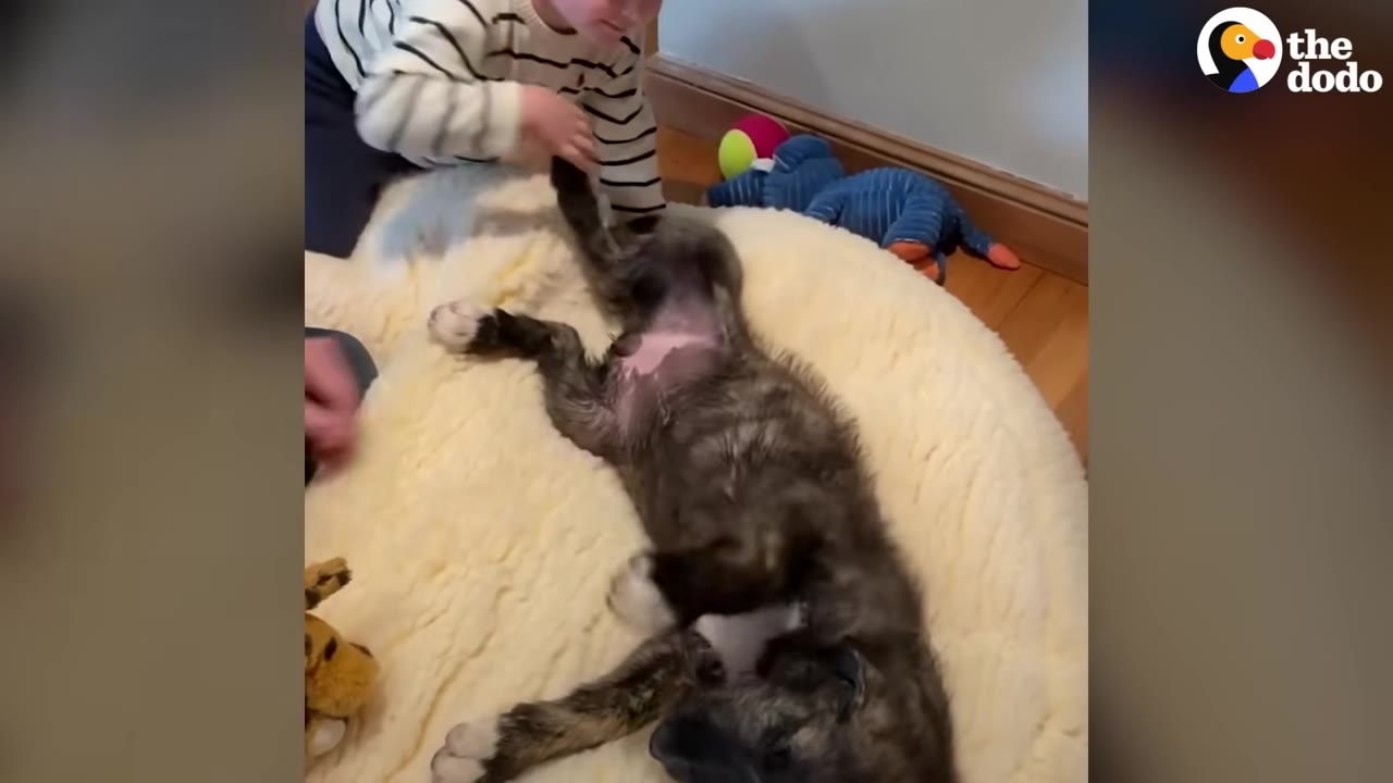 A young child in a striped sweater gently holds the paw of a fluffy brindle puppy lying on its back on a large, round cream-colored pet bed.