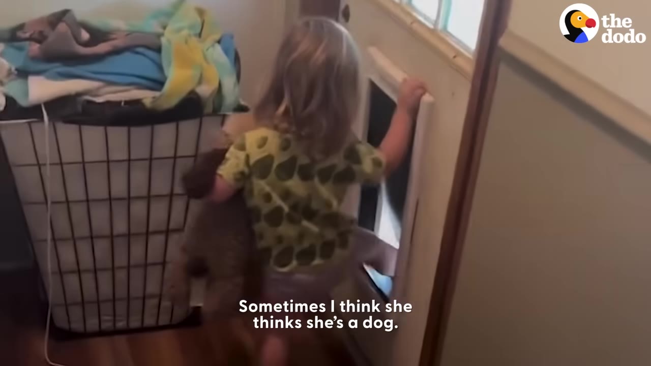 A toddler holding a stuffed toy crawls through a dog door flap in a door.
