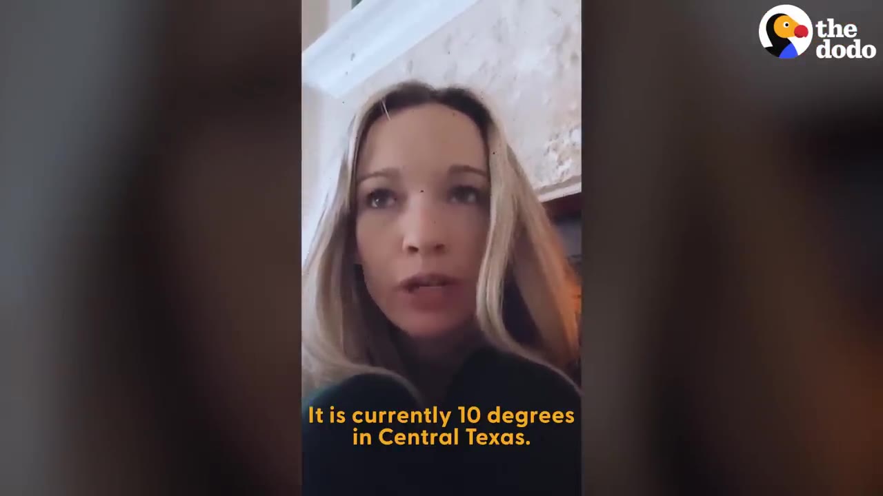 A blonde woman speaking to the camera indoors with yellow text at the bottom reading 'It is currently 10 degrees in Central Texas.'