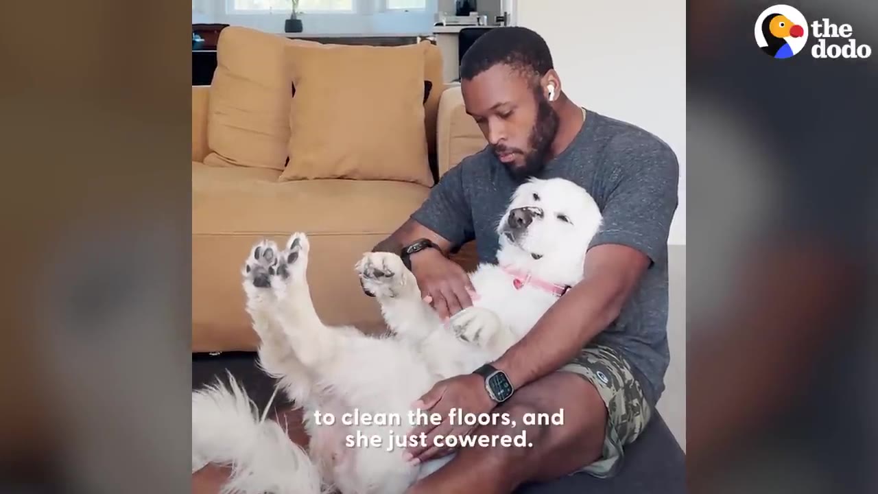 A man sits on the floor with a white dog lying on its back in his lap, holding its paws up as he comforts it.