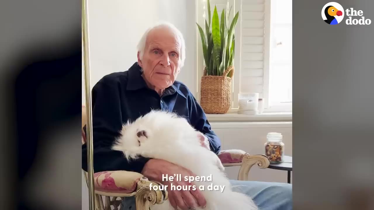 An older man with white hair sits in an armchair, holding a fluffy white dog on his lap.