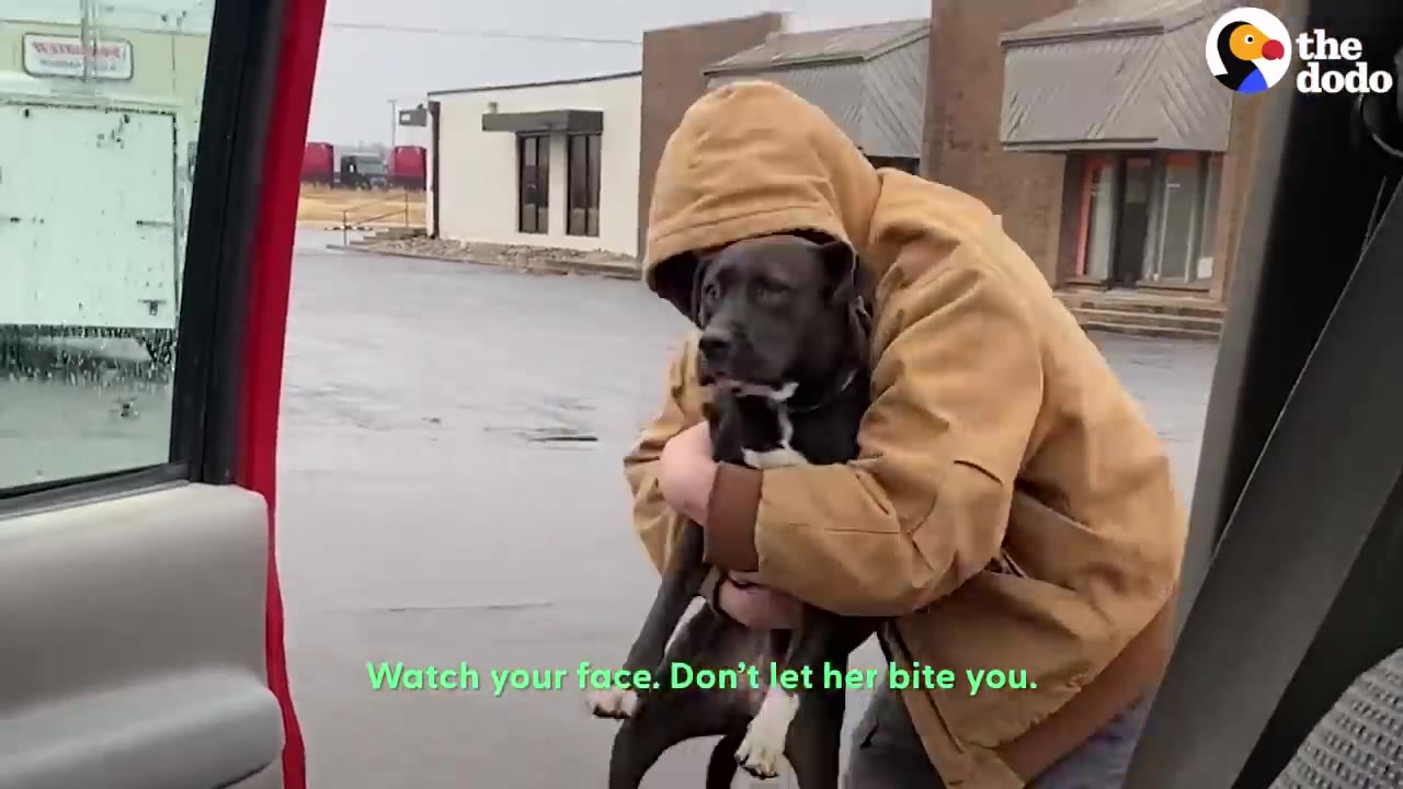 A person in a brown hooded jacket carrying a black dog in an open parking lot outside a building.