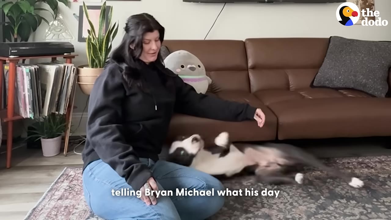 A woman sits on a rug next to a brown couch, looking down gently at a black and white dog rolling on its back on the floor.