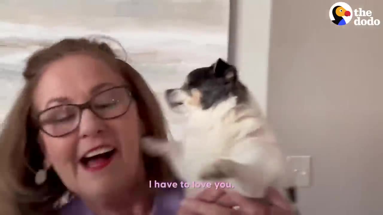 A woman wearing glasses holding a small dog up near her cheek while smiling joyfully.