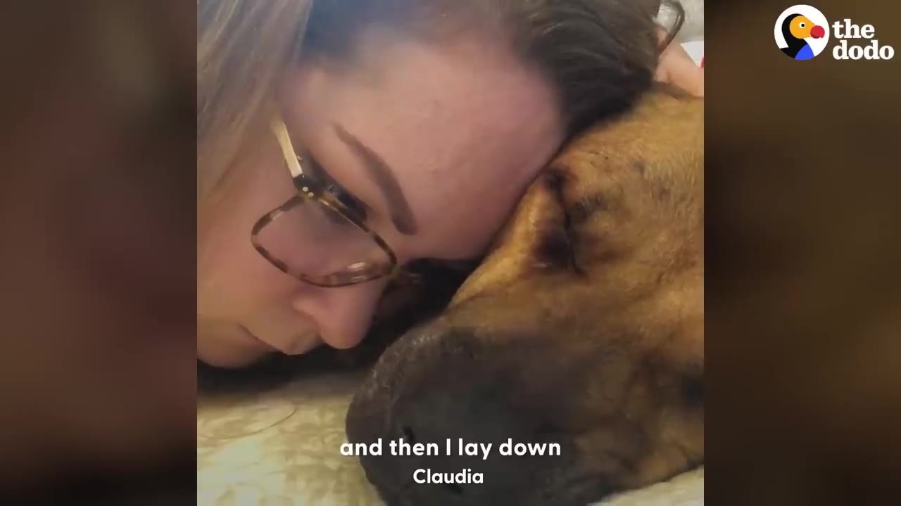 A woman rests her head gently against a resting brown dog on a bed.
