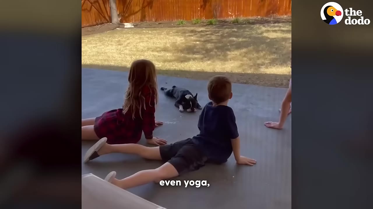 A young boy and girl lie on their stomachs on a concrete patio, doing a cobra yoga pose, while a black and white Boston Terrier lies flat on its stomach facing them.